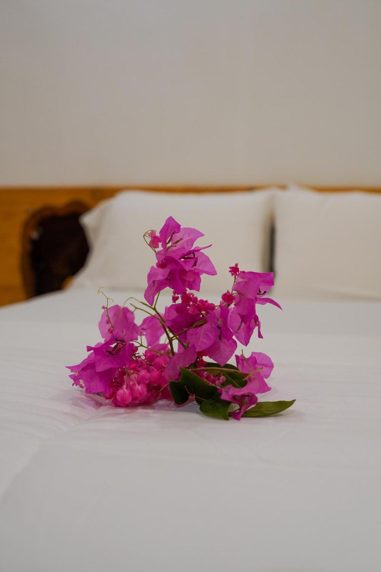 Sun & Surf Hotell Thulusdhoo Exteriör bild